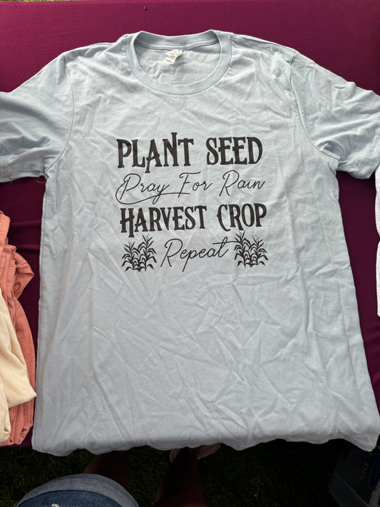 Plant Seed, Pray for Rain